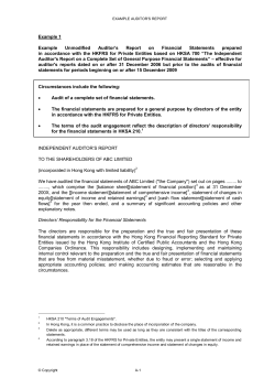 Examples of Auditor`s Reports on Financial Statements