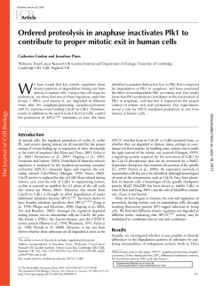 Ordered proteolysis in anaphase inactivates Plk1 to contribute to