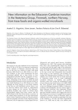 New information on the Ediacaran&ndash;Cambrian transition in the