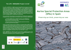 Marine Special Protection Areas (SPAs) in Spain