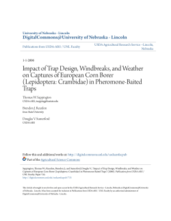 Lepidoptera: Crambidae - DigitalCommons@University of Nebraska