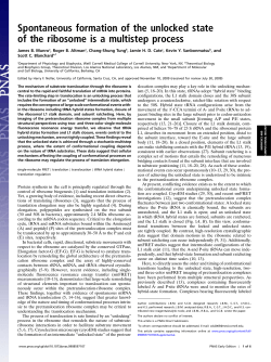 Spontaneous formation of the unlocked state of the ribosome is a