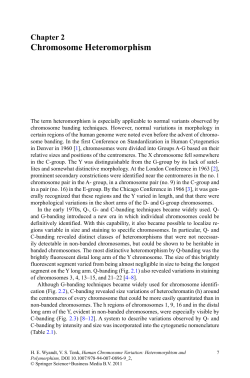 Chromosome Heteromorphism