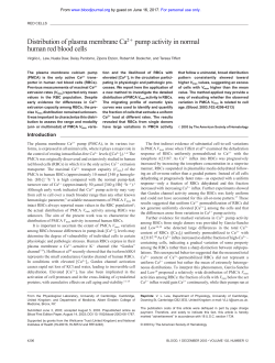 Distribution of plasma membrane Ca2 pump activity in normal