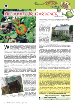 August 2015 - The Deux