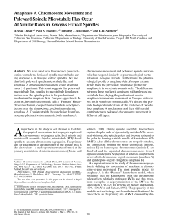 Anaphase A Chromosome Movement and