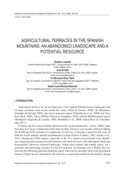 agricultural terraces in the spanish mountains: an abandoned