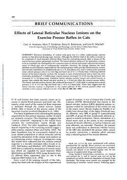 BRIEF COMMUNICATIONS Effects of Lateral Reticular Nucleus