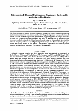 Heterogeneity of Ribosomal Proteins among