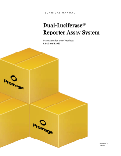 Dual-Luciferase&reg; Reporter Assay System Technical