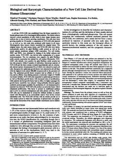 Biological and Karyotypic Characterization of a New Cell Line