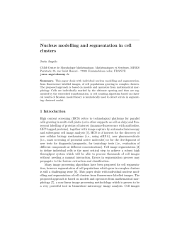 Nucleus modelling and segmentation in cell clusters