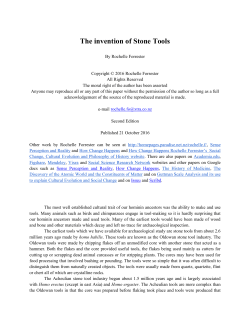 The invention of Stone Tools