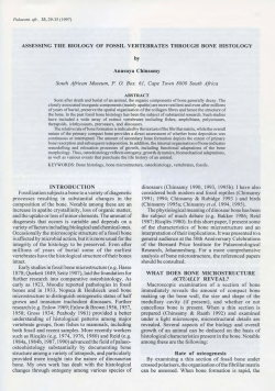 1997.V33.CHINSAMY.FOSSIL BONE HISTOLOGY