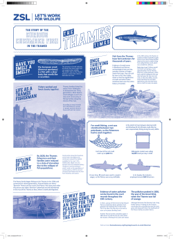 HAVE YOU SMELT A SMELT? LIFE AS A THAMES FISHERMAN