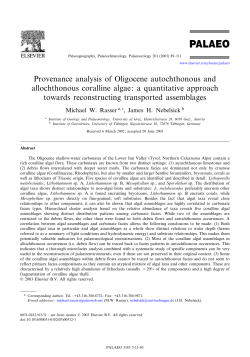 Provenance analysis of Oligocene autochthonous and