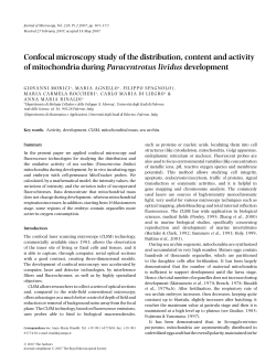 Confocal microscopy study of the distribution, content and activity of