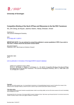 Competitive Binding of the SecA ATPase and Ribosomes to