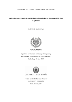 Molecular-level Simulations of Cellulose Dissolution by Steam and