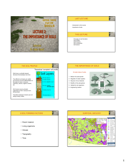 LAST LECTURE THIS LECTURE THE SOIL PROFILE THE