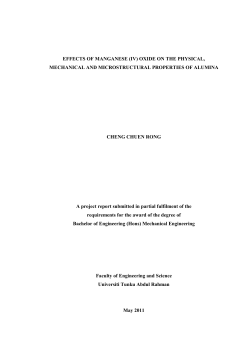 EFFECTS OF MANGANESE (IV) OXIDE ON THE PHYSICAL