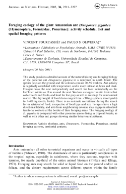 Foraging ecology of the giant Amazonian ant Dinoponera gigantea