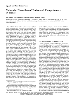 Molecular Dissection of Endosomal