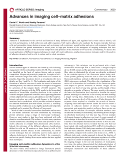 Advances in imaging cell&ndash;matrix adhesions