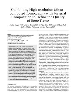 Combining High-resolution Micro– computed Tomography with