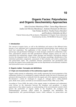 Organic Facies: Palynofacies and Organic