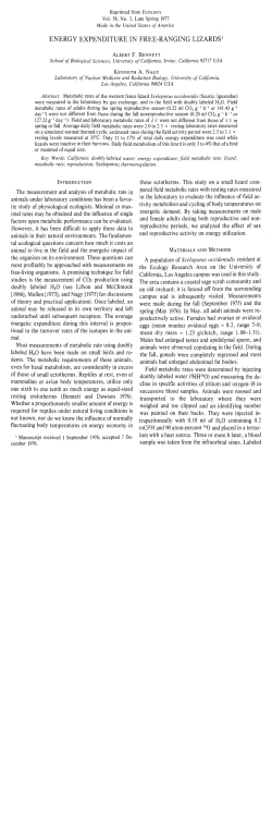 energy expenditure in free-ranging lizards