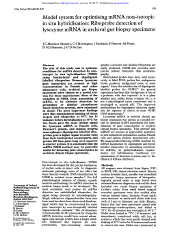 Model system for optimising mRNA non