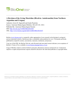A Revision of the Living Mactridae (Bivalvia: Autobranchia)