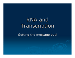 RNA and Transcription - Canvas by Instructure