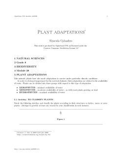 Plant adaptations