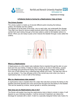 Department of Urology - Norfolk and Norwich University Hospitals