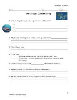 The Cell Cycle Guided Reading