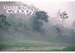 advancing conservation in gabon