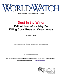 Dust in the Wind - Worldwatch Institute