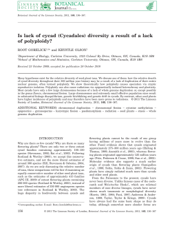 Is lack of cycad (Cycadales)