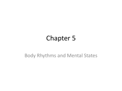 Chapter 5