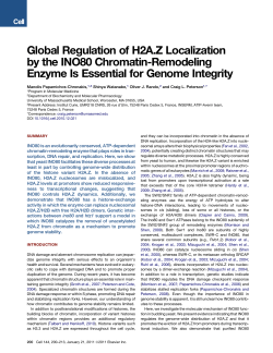 Global Regulation of H2A.Z Localization