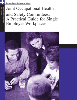 Joint Occupational Health and Safety Committees: A Practical Guide