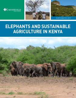 elephants and sustainable agriculture in kenya