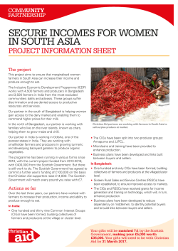 secure incomes for women in south asia