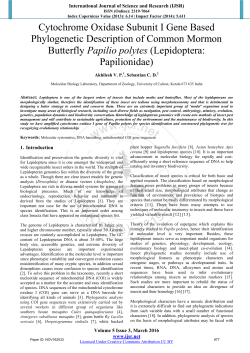 Cytochrome Oxidase Subunit I Gene Based Phylogenetic
