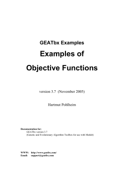 Examples of Objective Functions