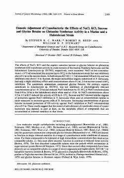 the Effects of NaCl, KCI, Sucrose and Glycine Betaine