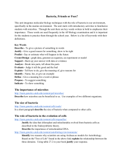 Bacteria, Friends or Foes? The importance of microbes The size of