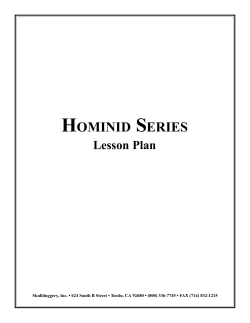 Hominid Series - Lesson Corner